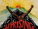 Vtg 1980 BOB MARLEY & THE WAILERS Album UPRISING Vinyl RECORD Lp OG EXCELLENT