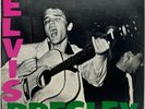 Elvis Presley DEBUT ALBUM RCA Victor – LPM-1254(e) - LP Record  NM / VG+