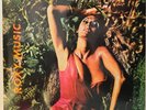 Roxy Music  Stranded LP Album vinyl record half speed remaster 180g 2022 reissue