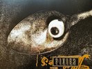 Pixies - Pixies At The BBC 3 x Vinyl, LP, Compilation, Reissue