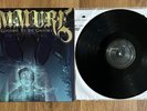 Emmure - Goodbye to the Gallows vinyl LP record RARE 1st pressing Out of Print