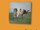 Pink Floyd Atom Heart Mother 1970 Gatefold EMI Records SHVL 781 Vinyl Lp