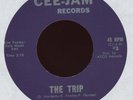 Godfrey - The Trip on Cee-Jam Psych Garage 45 Kim Fowley