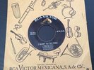 ELVIS PRESLEY [I WANT TO BE FREE   BABY I DON'T CARE] MEXICAN 45 RCA 76-491