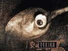 PIXIES PIXIES AT THE BBC NEW LP