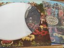 The Beatles Sgt Peppers Picture Disc