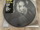 Lana Del Rey, picture disc vinyl, Did You Know There's a Tunnel Under Ocean Blvd