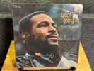 Marvin Gaye 