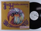JIMI HENDRIX EXPERIENCE Are You Experienced REPRISE LP VG+ mono wlp h