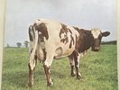 Pink Floyd Atom Heart Mother 1st Press