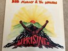 Bob Marley & The Wailers -REGGAE 