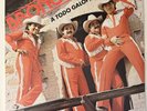 Bronco - A Todo Galope (1 x LP, Vinyl, Vinilo, 1989 MX, VG+)