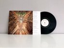 CYNIC - Focus 1993 VINYL LP Roadrunner (RR 9169-1) Holland NM / TOP ZUSTAND