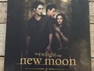 The Twilight Saga: New Moon -2 Vinyl LP PRESS 2009 USA Excellent rare find