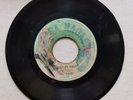 LEROY WILLYCE - FAR BEYOND THE BLUE / BIG YOUTH - THINGS IN LIGHT /7