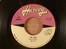 The Quails My Love/Never Felt Like This Before Doo-Wop Northern Soul 1962 Harvey