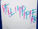 Flipper 