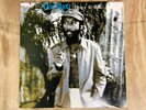 Desi Roots - Doing It Right (LP, Album, RE)