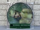 Sky Ferreira – Night Time, My Time,  Vinyl, LP, Record Store Day, Limited Ed.