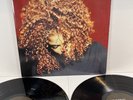Janet Jackson The Velvet Rope VINYL 2LPs  VG/VG+