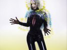 Björk Vulnicura (Vinyl) 12