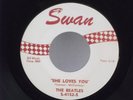 Beatles,Swan