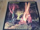 Echo And The Bunnymen – Crocodiles Vinyl LP Album Reissue 33rpm 1982