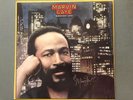 MARVIN GAYE 