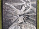 Neutral Milk Hotel - The Collected Works LP Box Set Mint 2015 US Unplayed