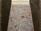 JOHN LEE HOOKER Endless Boogie 2LPs 1971 1ST PRESS Steve Miller VINYL Blues