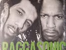 Raggasonic Raggasonic - LP 33T x 2