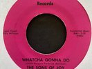The Sons of Joy 70s Soulful Gospel 45 on Joy   Whatcha Gonna Do   RARE   Hear