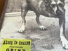 Alice In Chains Featuring Grind Vinyl