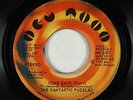 70s Soul 45 - Fantastic Puzzles - Come Back - New Moon