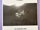 PJ Harvey The Glorious Land 7” 45 RPM Vinyl Record Single Near Mint 2010