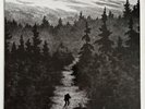 Bilskirnir – In Solitary Silence LP 2020 Darker Than Black - Black vinyl - NEW