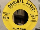 Garage Fuzz Promo THE BITTERSWEETS In The Night / Another Chance 45 RARE