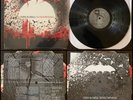 THIS IS HELL Sundowning LP Vinyl-The Backup Plan Stray From The Path Converge
