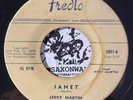 RARE Rockabilly 45 - JERRY MARTIN & The Sounds - JANET -  FREDLO 1st Press VG+