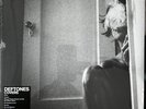 Covers by Deftones (Vinyl,Record, 2011, Limited Edition)