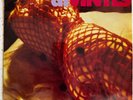 Divinyls - I Touch Myself b/w Follow Through - UK