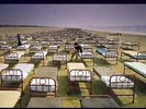 Pink Floyd | Black Vinyl LP | A Momentary Lapse of Reason | Pink