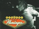 BUNBURY - Flamingos [New Vinyl LP] Spain - Import