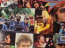 Molly Hatchet - Double Trouble Live - Lp / E2 40137 , 1985 EPIC