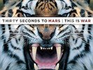 THIRTY SECONDS TO MARS - THIS IS WAR (VINYL 2LP + CD) NEW/SEALED