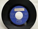 **The Hollywoods**  Garage Band - 45 TIMBER 106 - Portsmouth Ohio 1964