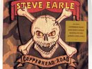 STEVE EARLE ‎– Copperhead Road  1988 1st US Issue Promo LP  No UPC code  NM