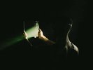 Spoken - Reflection [Indie-Exclusive 