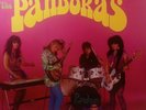 The Pandoras – It's About Time  EX 1984 Vinyl LP77