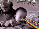 Doing Dark Side of the Moon by Flaming Lips / Stardeath / White Dwarfs NM/NM